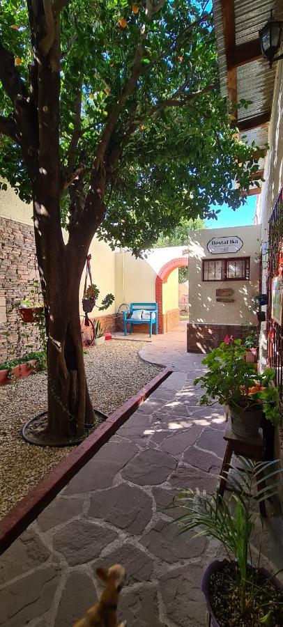 Hostal Ika Chihuahua Dış mekan fotoğraf