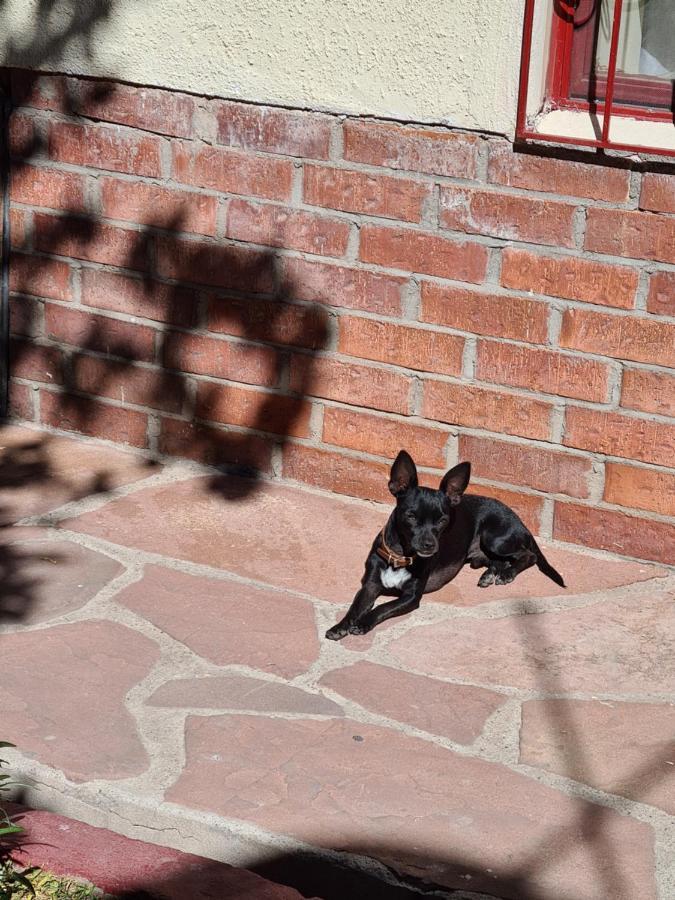 Hostal Ika Chihuahua Dış mekan fotoğraf