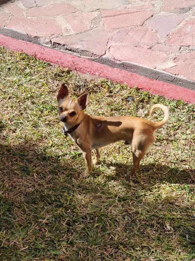 Hostal Ika Chihuahua Dış mekan fotoğraf
